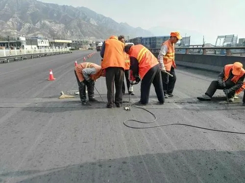 吉水道路桥梁病害治理